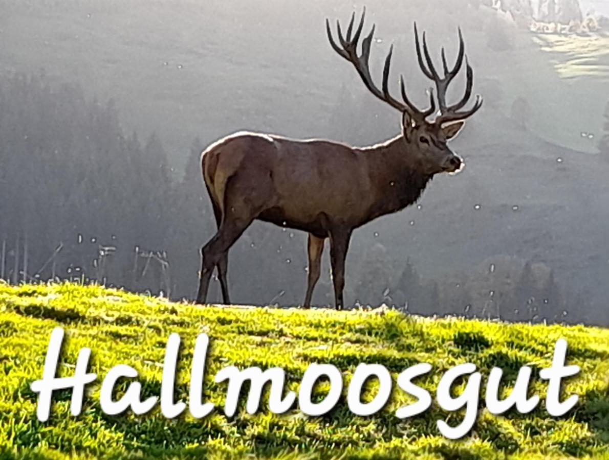 Hallmoosgut Sankt Johann im Pongau Exterior foto