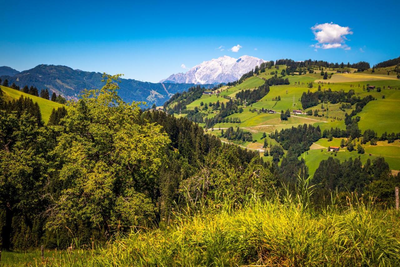 Hallmoosgut Sankt Johann im Pongau Exterior foto